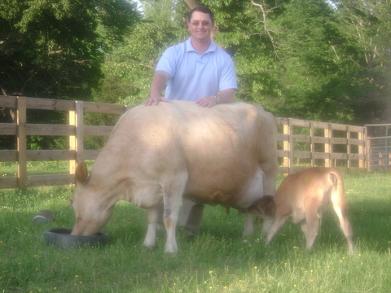 jersey miniature cows hunting creek